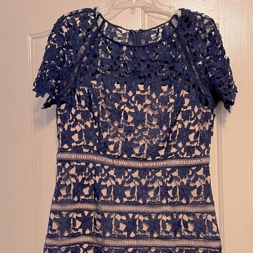 Eliza J Beige and Navy Lace Dress